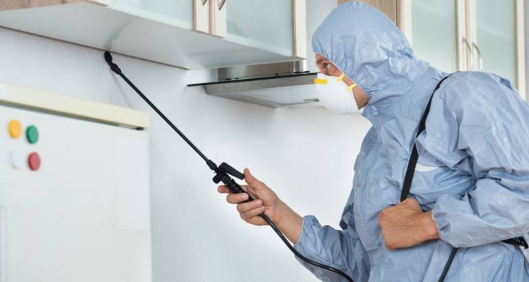 Bed Bug Extermination and Control Services in Toronto