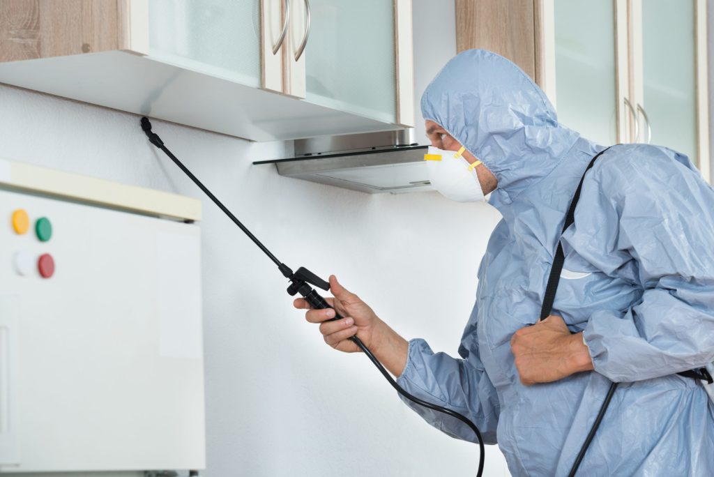 Commercial Pest Control in Toronto- How to Find the Best Hires