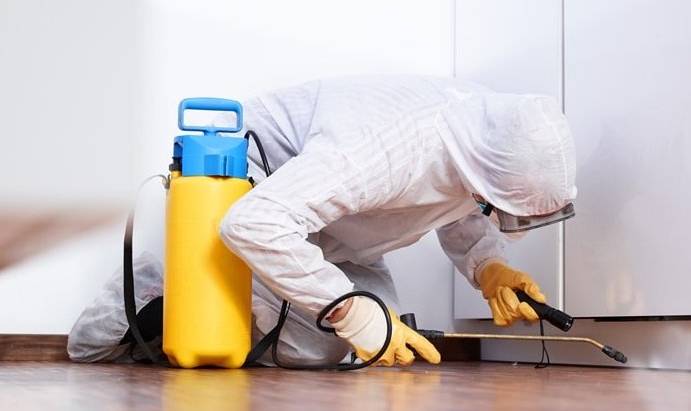 How to Save Money during Commercial Pest Control in Toronto