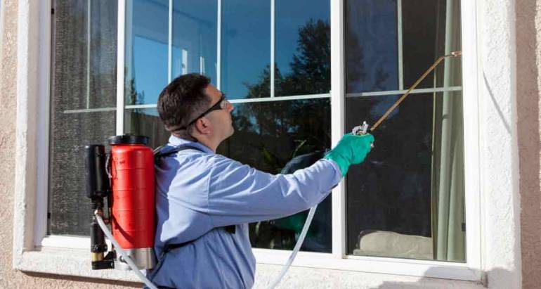 Exploring the Three Main Types of Pest Control Services in Toronto