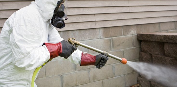 What are the Services Provided by a Top Pest Control Company?